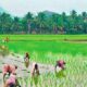 తెలంగాణ ప్రభుత్వం రైతుల సమస్యలను తగ్గించేందుకు మరో కీలక నిర్ణయం తీసుకుంది