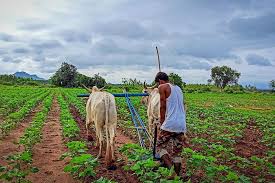 తెలంగాణ రాష్ట్రంలో ఏళ్ల తరబడి పెండింగ్‌లో ఉన్న సాదా బైనామా దరఖాస్తుల పరిష్కారానికి ప్రభుత్వం కీలక అడుగు వేసింది.