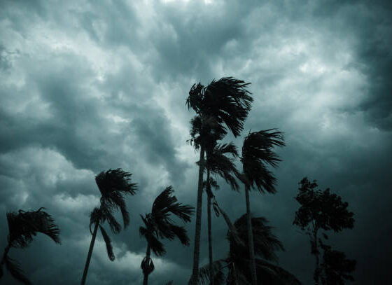 AP Montha Cyclone Relief, CM Chandrababu ₹3000 Aid, Andhra Pradesh Disaster Assistance