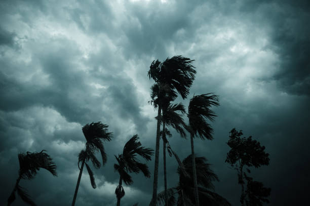 AP Montha Cyclone Relief, CM Chandrababu ₹3000 Aid, Andhra Pradesh Disaster Assistance