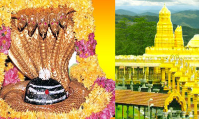 స్పర్శ దర్శన సమయాలను విస్తరించారు.