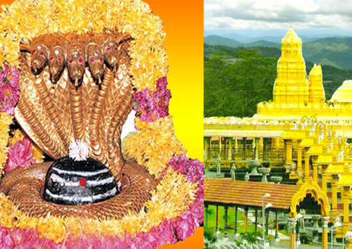 స్పర్శ దర్శన సమయాలను విస్తరించారు.