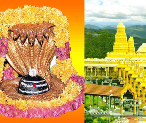 స్పర్శ దర్శన సమయాలను విస్తరించారు.