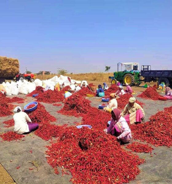 క్వింటాల్‌కు సుమారు రూ.54,000