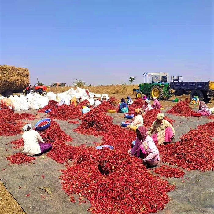 క్వింటాల్‌కు సుమారు రూ.54,000