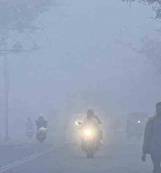 వాతావరణ శాఖ తాజా నివేదిక ప్రకారం రాష్ట్రంలో కనిష్ఠ ఉష్ణోగ్రతలు సాధారణం కంటే 3 నుంచి 4 డిగ్రీల వరకు తగ్గే అవకాశం ఉంది.