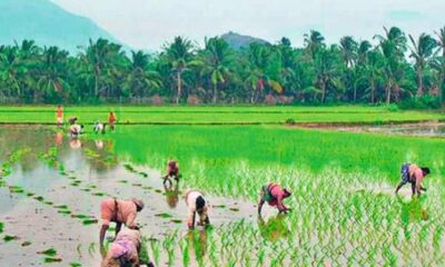 తెలంగాణ ప్రభుత్వం రైతుల సమస్యలను తగ్గించేందుకు మరో కీలక నిర్ణయం తీసుకుంది