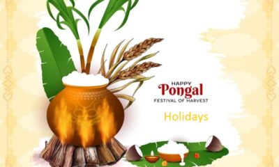 ఆంధ్రప్రదేశ్‌లోని ప్రభుత్వ, ప్రైవేట్ పాఠశాలలకు జనవరి 10 నుంచి జనవరి 18, 2026 వరకు సంక్రాంతి సెలవులు ఉంటాయని విద్యాశాఖ వెల్లడించింది.