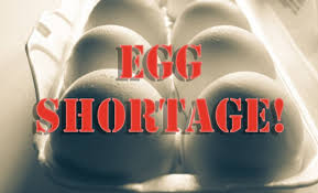 తెలంగాణలో కోడిగుడ్ల ధరలు సామాన్యులకే కాదు, ప్రభుత్వ పాఠశాలల మధ్యాహ్న భోజన వ్యవస్థకూ పెద్ద సవాలుగా మారాయి