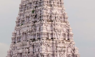 అయితే వ్రత కథ ముగిసిన అనంతరం పురోహితులు మైక్ ద్వారా భక్తులను ఉద్దేశించి వస్త్ర దానం పేరిట రూ.501, అన్నదానం కింద రూ.251 ఇవ్వాలని డిమాండ్ చేశారనే ఆరోపణలు వెల్లువెత్తాయి.